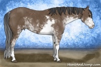 Horse Color:Buckskin Sabino 