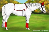 Horse Color:Palomino Varnish