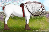 Horse Color:White Spotted Liver Chestnut Appaloosa 