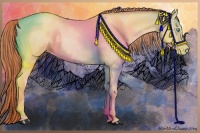 Horse Color:Chocolate Buckskin Pearl 