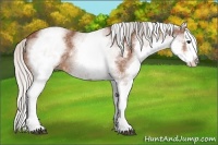 Horse Color:White Spotted Silver Bay Splash 