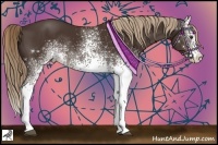 Horse Color:White Spotted Liver Chestnut Sabino Splash Rabicano