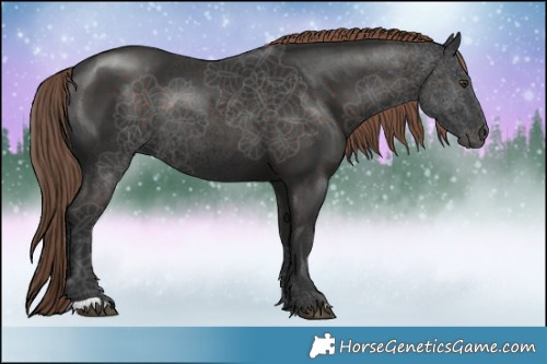 Horse Color:Liver Chestnut Rabicano 