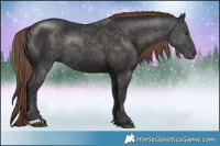Horse Color:Liver Chestnut Rabicano 