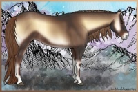 Horse Color:Liver Red Onyx Rabicano 