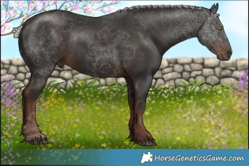 Horse Color:Liver Chestnut Mushroom Rabicano 