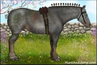 Horse Color:Liver Chestnut Rabicano