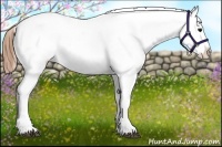 Horse Color:White Spotted Black Splash Tobiano Frame Blanket 