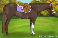 Horse Color:Liver Chestnut Rabicano