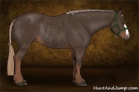 Horse Color:Liver Chestnut Rabicano