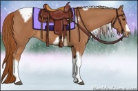 Horse Color:Chestnut Tobiano Frame