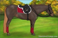 Horse Color:Liver Chestnut Rabicano 