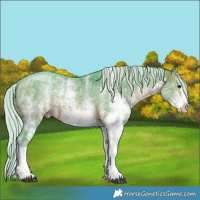 Horse Color:Watercolor White Spotted Silver Brown Ice Rabicano 