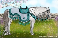 Horse Color:Buckskin Appaloosa