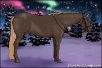 Horse Color:Liver Chestnut Rabicano 