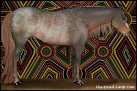 Horse Color:Liver Chestnut Rabicano