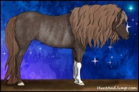 Horse Color:Liver Chestnut Rabicano 