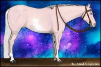 Horse Color:Watercolor White Spotted Silver Perlino Dun 