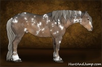 Horse Color:White Spotted Liver Chestnut Sabino