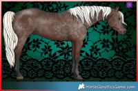 Horse Color:Liver Chestnut Mushroom 