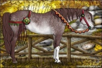 Horse Color:Chocolate Brown Chinchilla