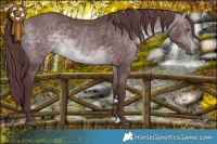 Horse Color:Chocolate Brown Chinchilla 