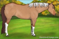 Horse Color:Chocolate Bay Dun Sabino Tobiano