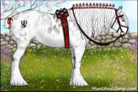 Horse Color:White Spotted Silver Black Chinchilla Appaloosa 