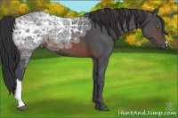 Horse Color:Brown Ice 