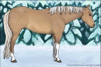 Horse Color:Chocolate Silver Buckskin Tobiano Rabicano
