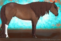Horse Color:Chocolate Bay 