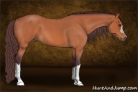 Horse Color:Chocolate Bay Roan
