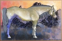 Horse Color:Watercolor Bay Onyx Sabino