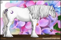 Horse Color:Gold Cream Champagne Dun Splash Snowcap 