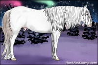 Horse Color:Chocolate Palomino Snowflake Varnish 