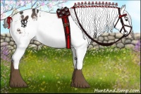 Horse Color:White Spotted Liver Chestnut Varnish 