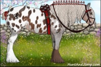 Horse Color:Liver Chestnut Sabino Appaloosa 