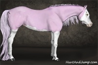 Horse Color:Watercolor Silver Classic Champagne Dun Splash 