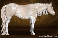 Horse Color:White Spotted Chocolate Palomino Pearl