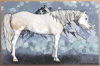 Horse Color:Silver Buckskin Roan Splash 