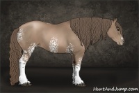 Horse Color:White Spotted Black Pearl