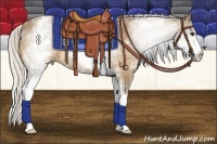 Horse Color:White Spotted Silver Buckskin 