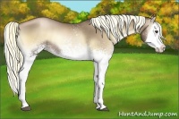 Horse Color:White Spotted Liver Red Onyx Pearl Splash 