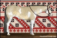 Horse Color:Buckskin Splash 