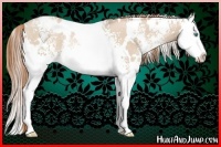 Horse Color:White Spotted Smoky Black Pearl Splash Rabicano 