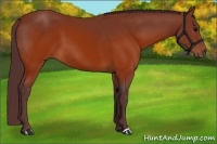 Horse Color:Chocolate Brown 