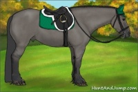 Horse Color:Grullo Roan 