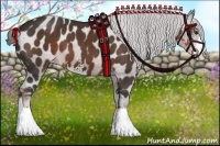 Horse Color:Liver Chestnut Sabino Appaloosa