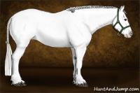 Horse Color:Palomino Frame Appaloosa 