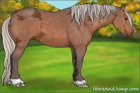 Horse Color:Silver Bay Ice 